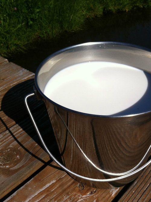 1.5L Fresh Goat Milk Bottle