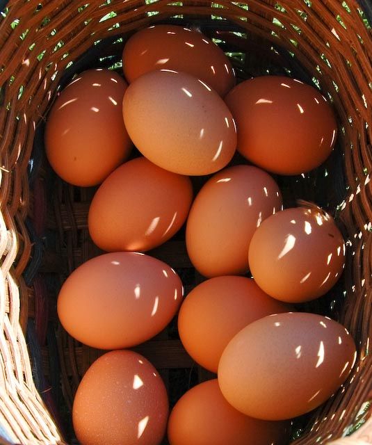 Organic (Desi)  Hen Eggs