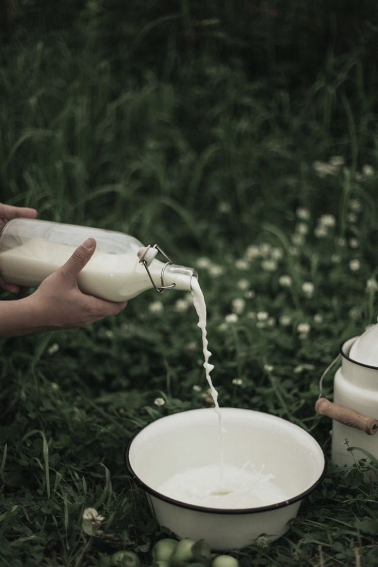 1.5L Fresh Buffalo Milk Bottle